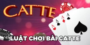 Khám Phá Luật Chơi Bài Catte Đơn Giản Nhất Cho Tân Thủ